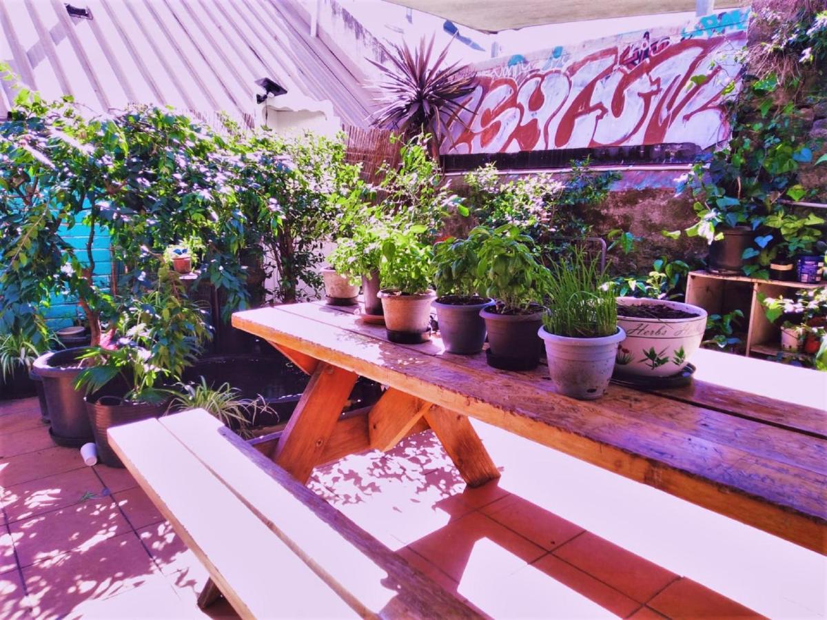 Zen Harmony House Sydney Hotel Exterior foto